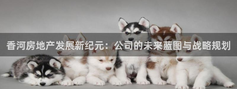 万向娱乐平台代理多少钱一年