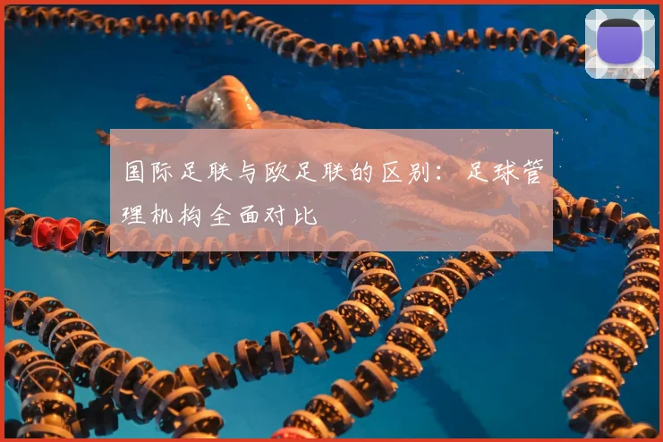 国际足联与欧足联的区别：足球管理机构全面对比