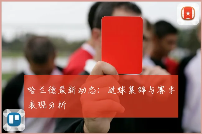 哈兰德最新动态:进球集锦与赛季表现分析