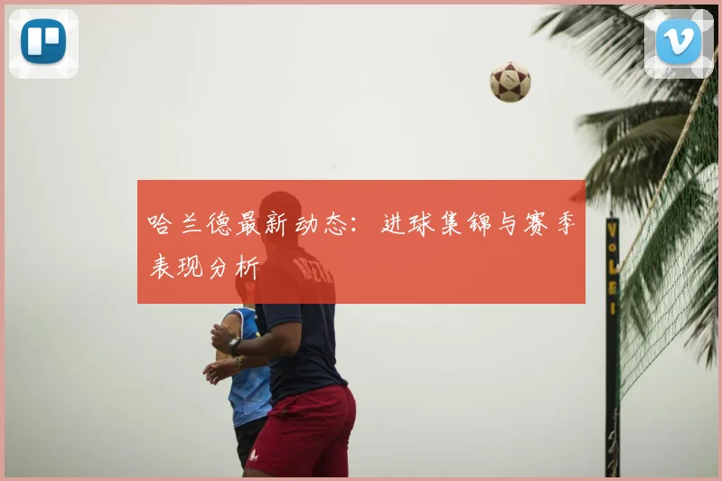 哈兰德最新动态:进球集锦与赛季表现分析